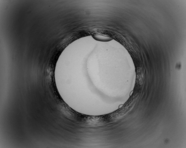 X0000103330235200810171431