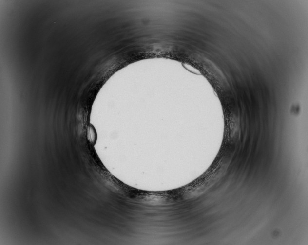 X0000103330236200810171431