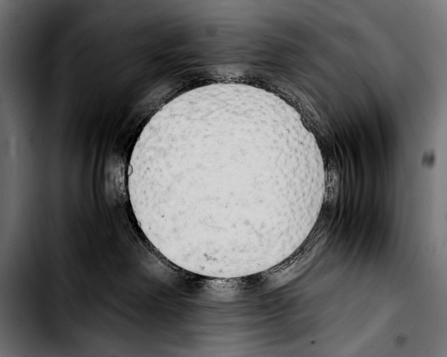 X0000103330238200810171431