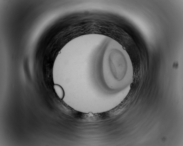 X0000103330239200810171431