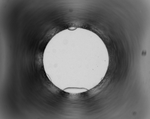 X0000103330240200810171431