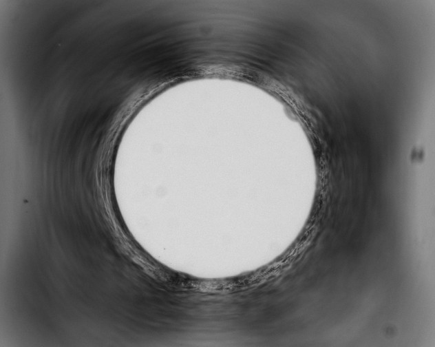 X0000103330241200810171430