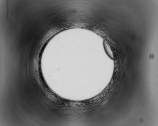 X0000103330242200810171430