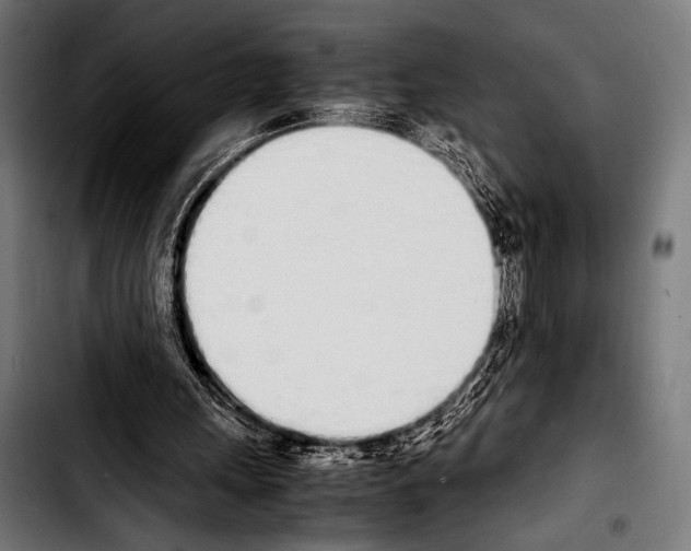 X0000103330243200810171430