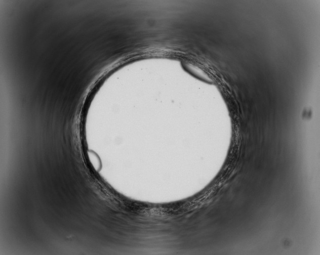 X0000103330244200810171430