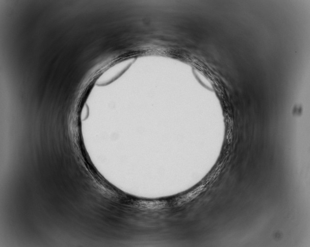 X0000103330245200810171430