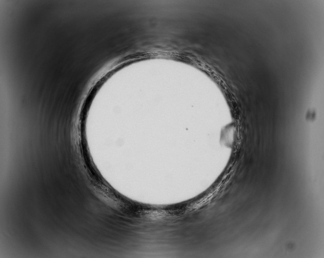 X0000103330246200810171430