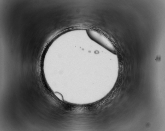 X0000103330248200810171430