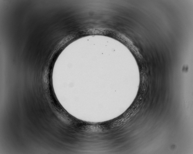 X0000103330250200810171430