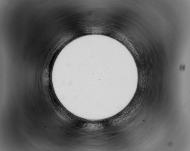 X0000103330251200810171430