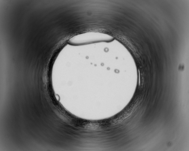 X0000103330252200810171430