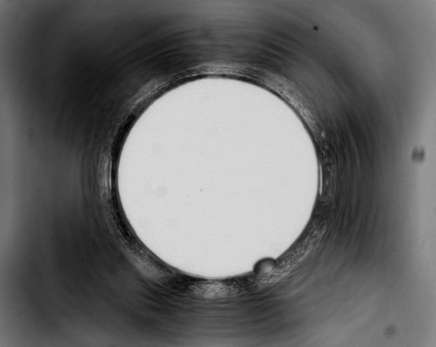 X0000103330253200810171430