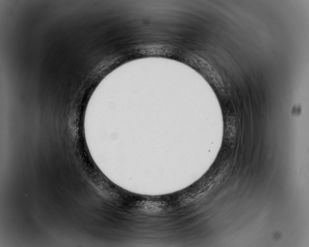 X0000103330255200810171430