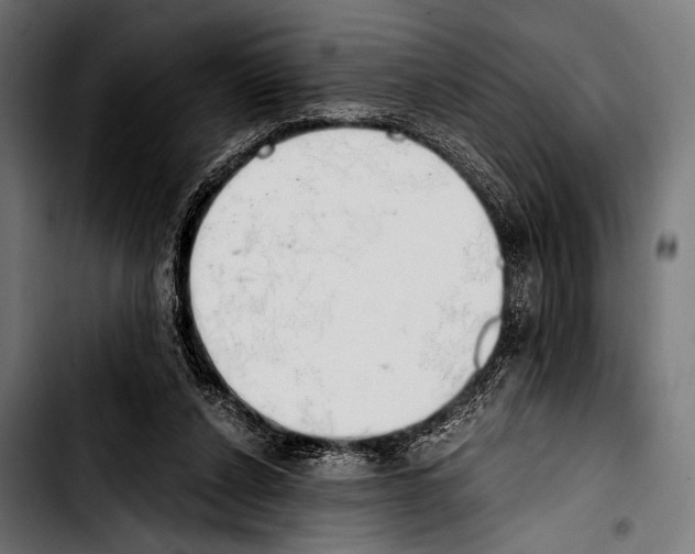 X0000103330256200810171430