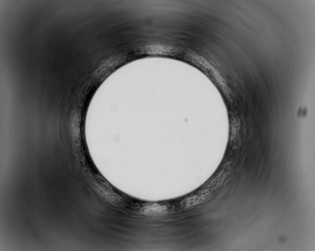 X0000103330257200810171430