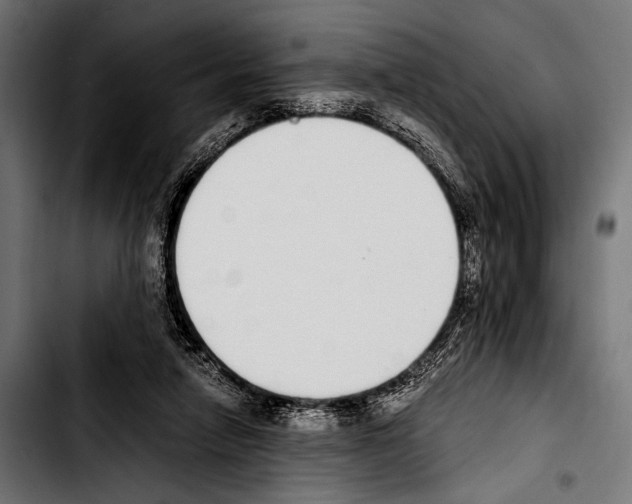 X0000103330258200810171430