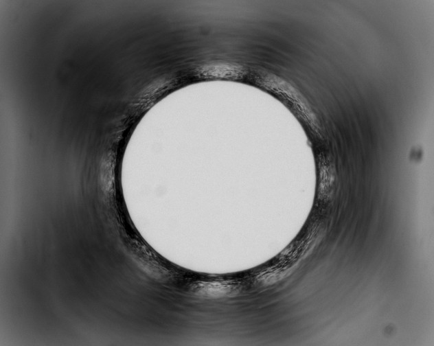 X0000103330259200810171430