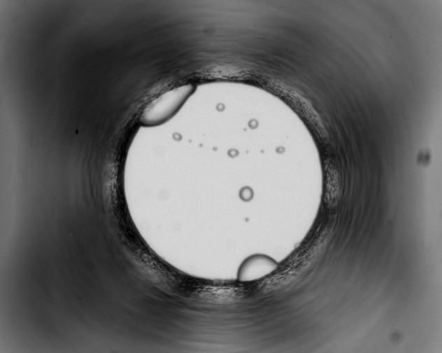 X0000103330260200810171430