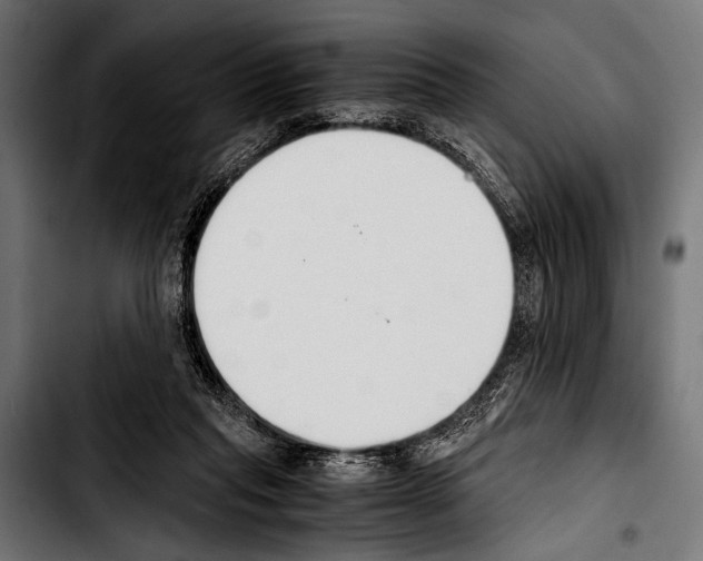 X0000103330261200810171430