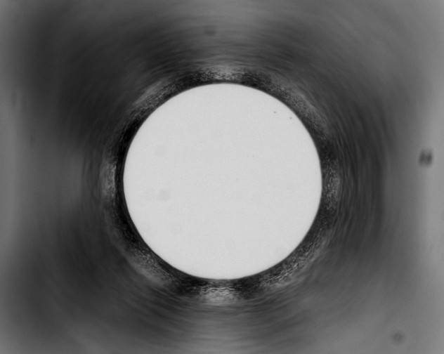 X0000103330262200810171430