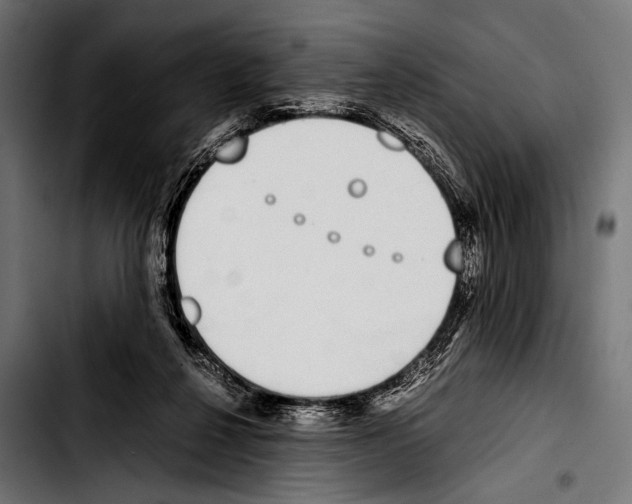 X0000103330264200810171431