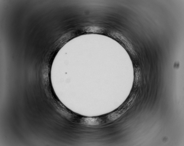 X0000103330265200810171431