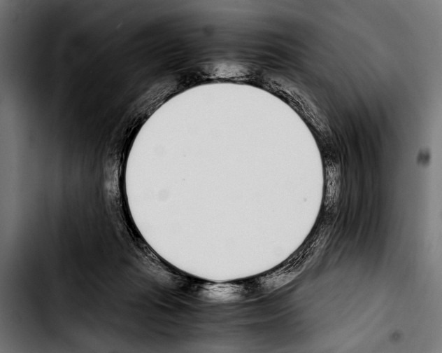 X0000103330269200810171431