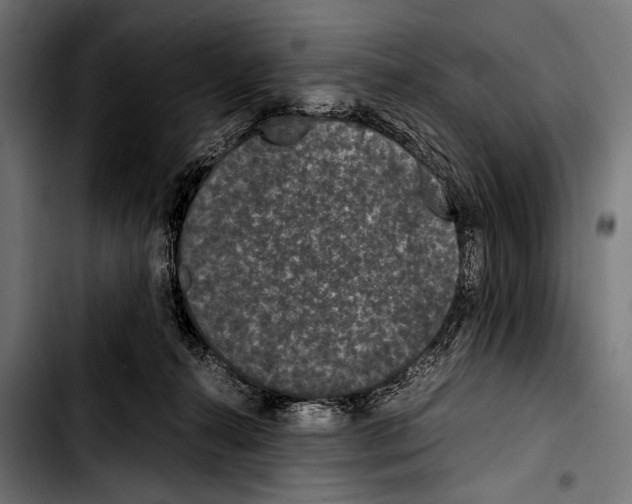 X0000103330272200810171431