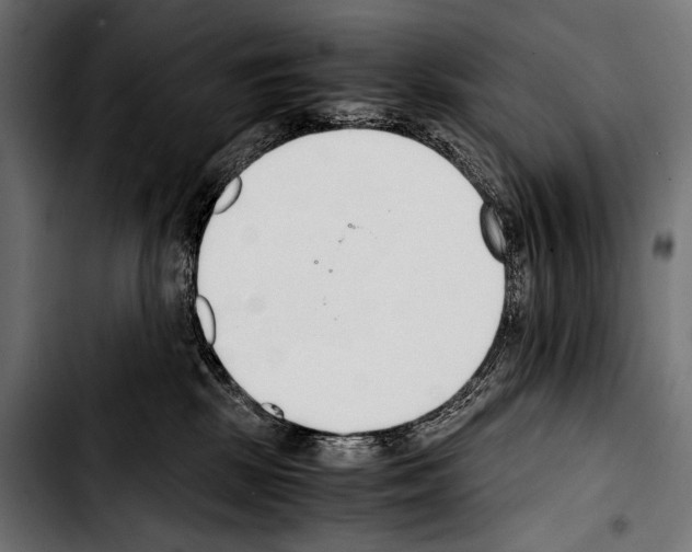 X0000103330281200810171431