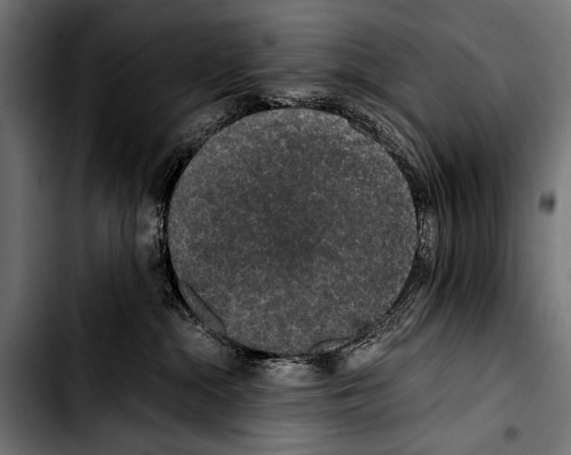 X0000103330284200810171431