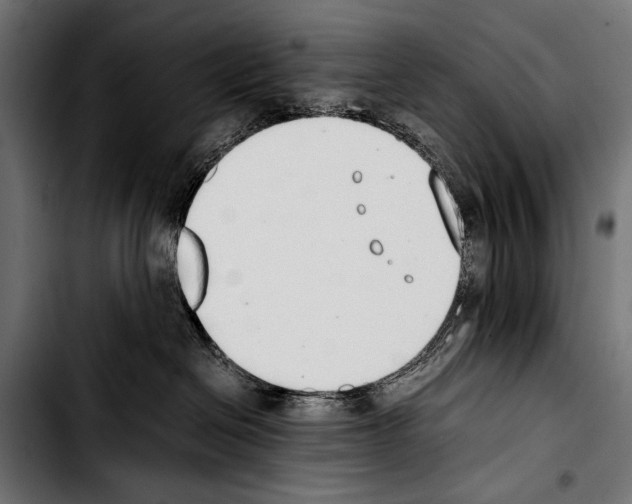 X0000103330286200810171431