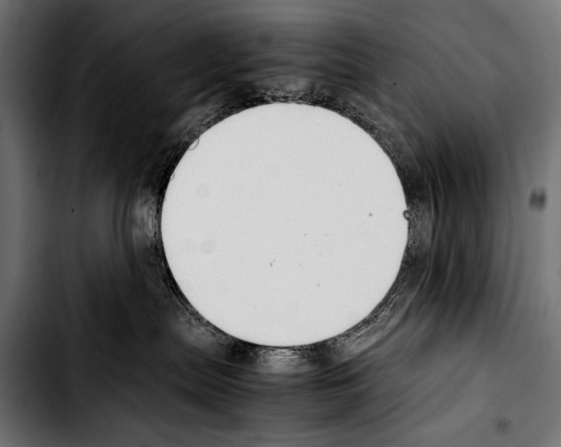 X0000103330287200810171431