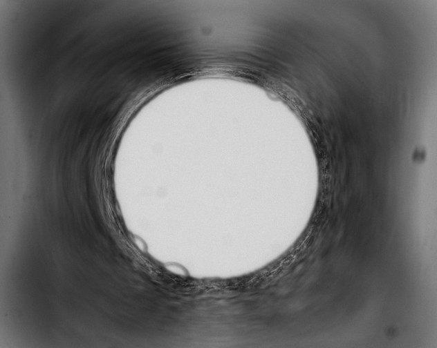 X0000103330289200810171430