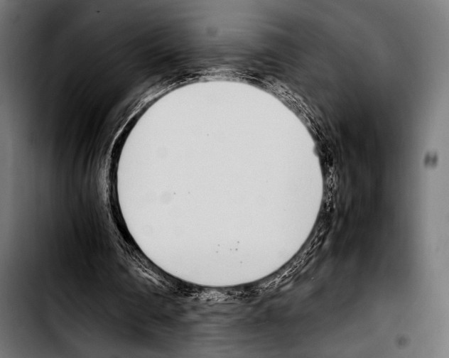 X0000103330290200810171430