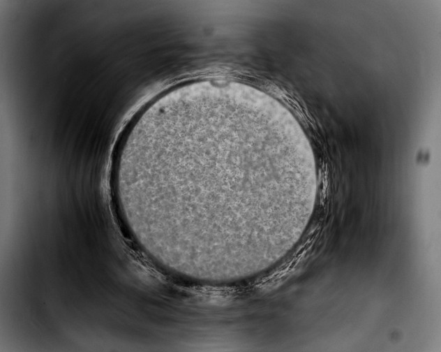 X0000103330292200810171430