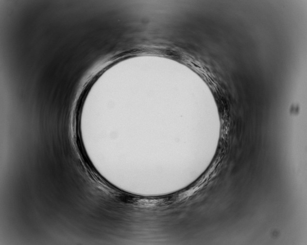 X0000103330294200810171430