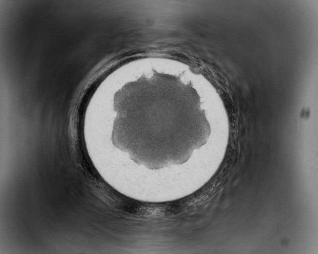 X0000103330295200810171430