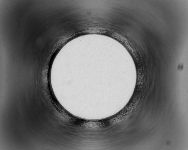 X0000103330299200810171430