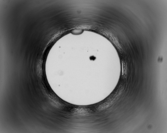 X0000103330300200810171430