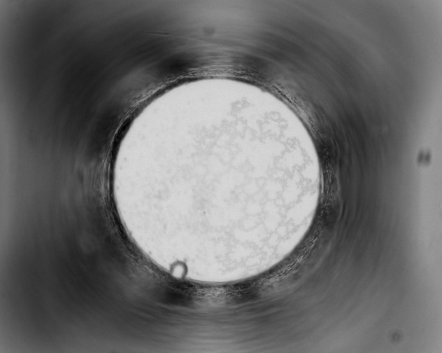 X0000103330301200810171430