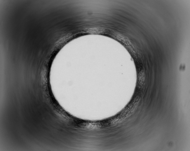 X0000103330303200810171430