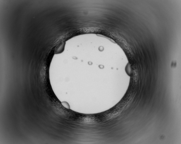 X0000103330308200810171430