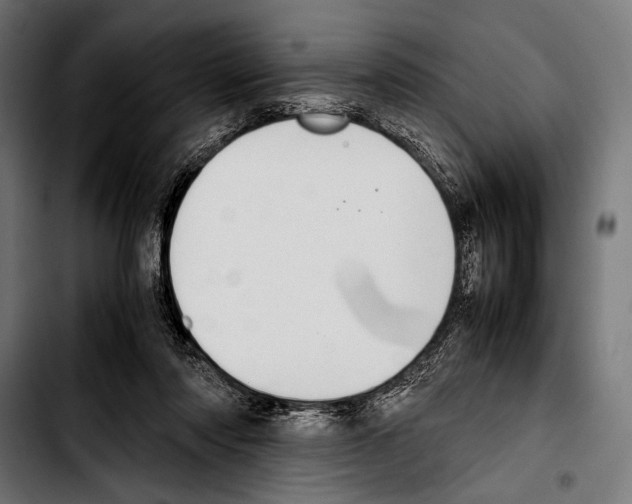 X0000103330310200810171430