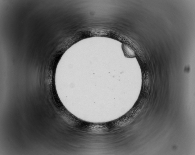 X0000103330315200810171430