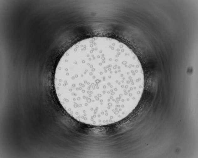 X0000103330317200810171430