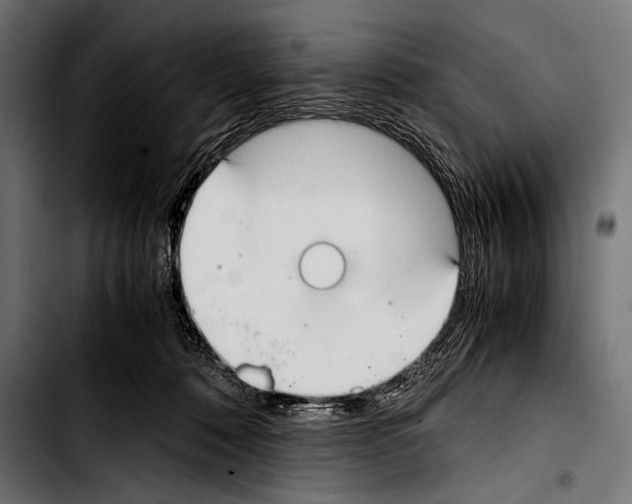 X0000103330320200810171430