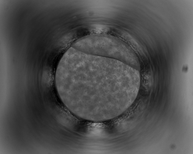 X0000103330324200810171430