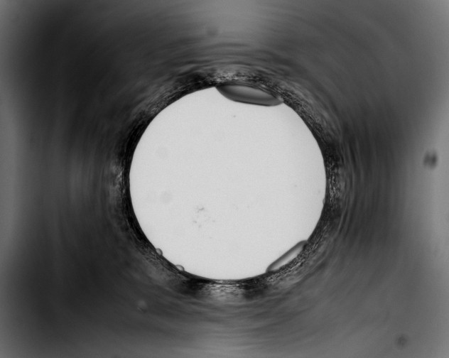 X0000103330327200810171430