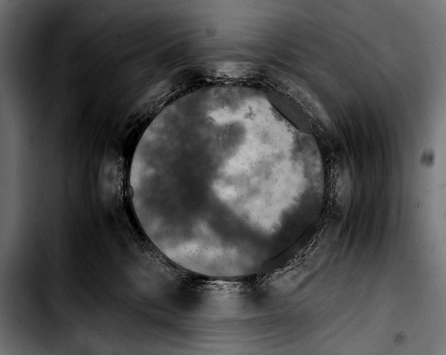 X0000103330328200810171430