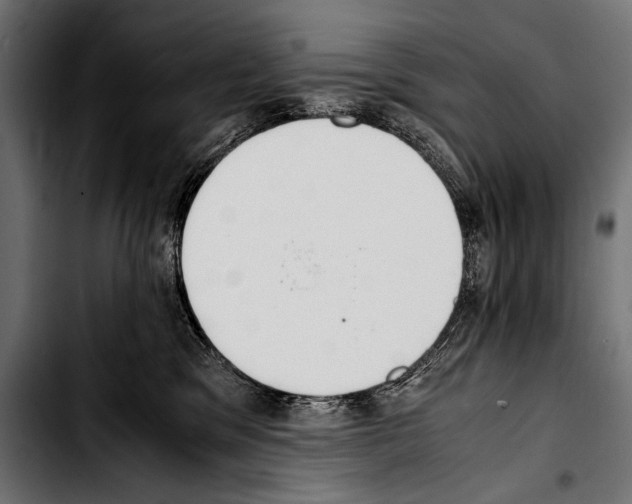 X0000103330329200810171430